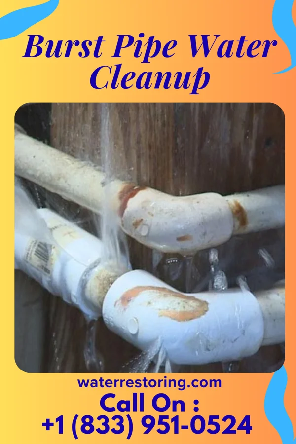 Burst Pipe Water Cleanup in Fairmont, WV