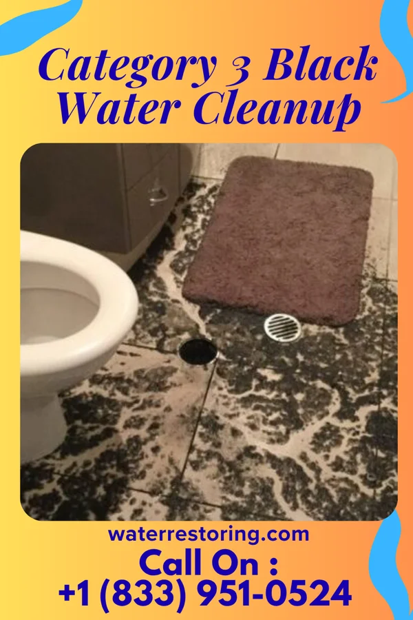 Category 3 Black Water Cleanup in Fairmont, WV