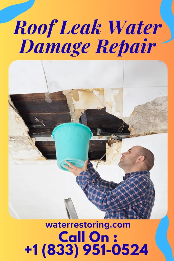 Roof Leak Water Damage Repair in Fairmont, WV