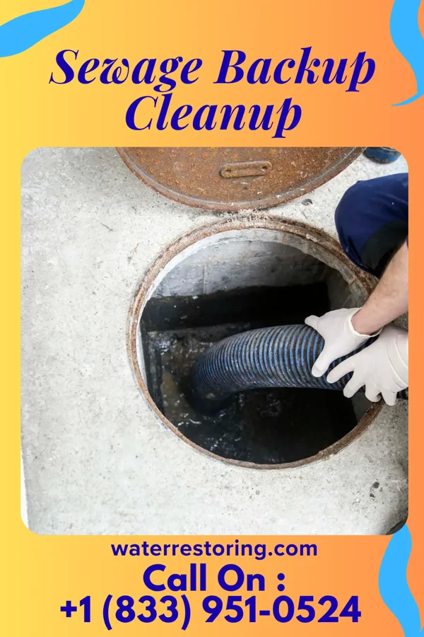 Sewage Backup Cleanup in Fairmont, WV