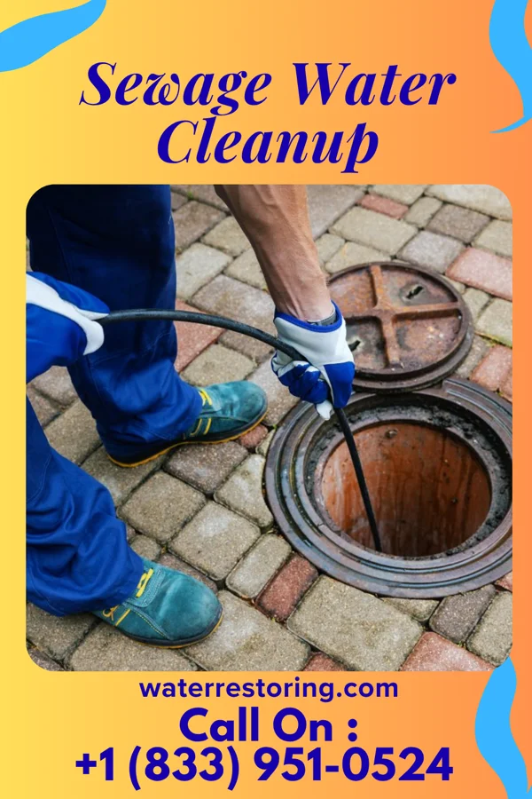 Sewage Water Cleanup in Fairmont, WV