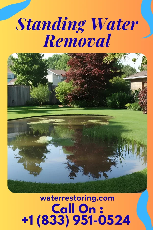 Standing Water Removal in Fairmont, WV
